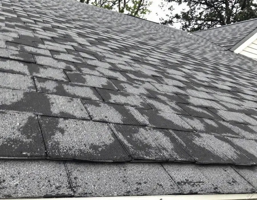 Faded, algae-streaked fifteen-year-old shingle roof