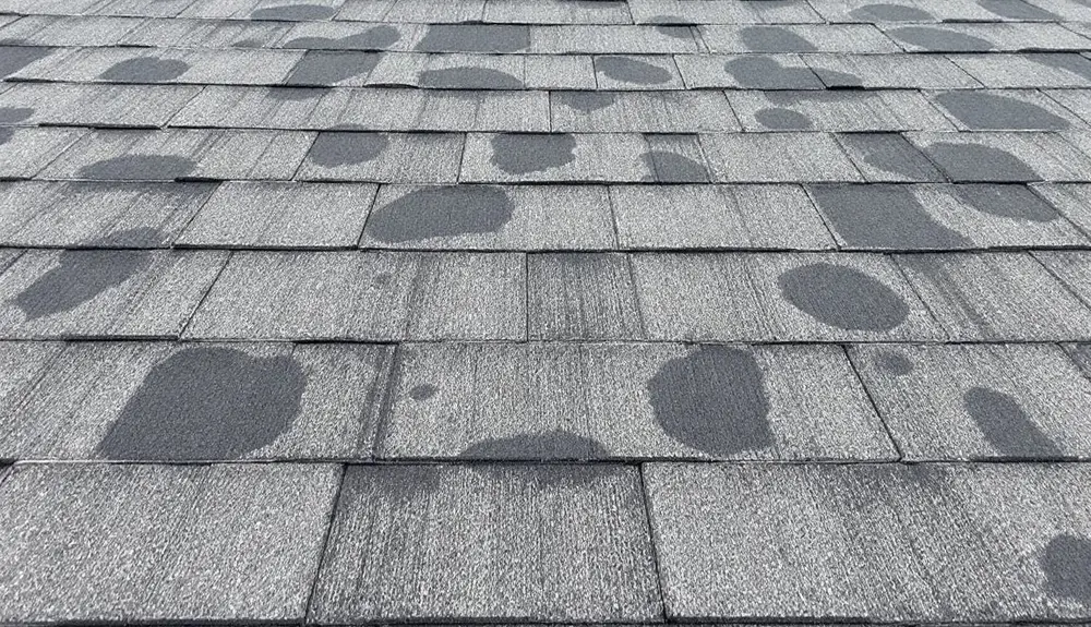 Bald patches across an old shingle roof where the granules have worn away